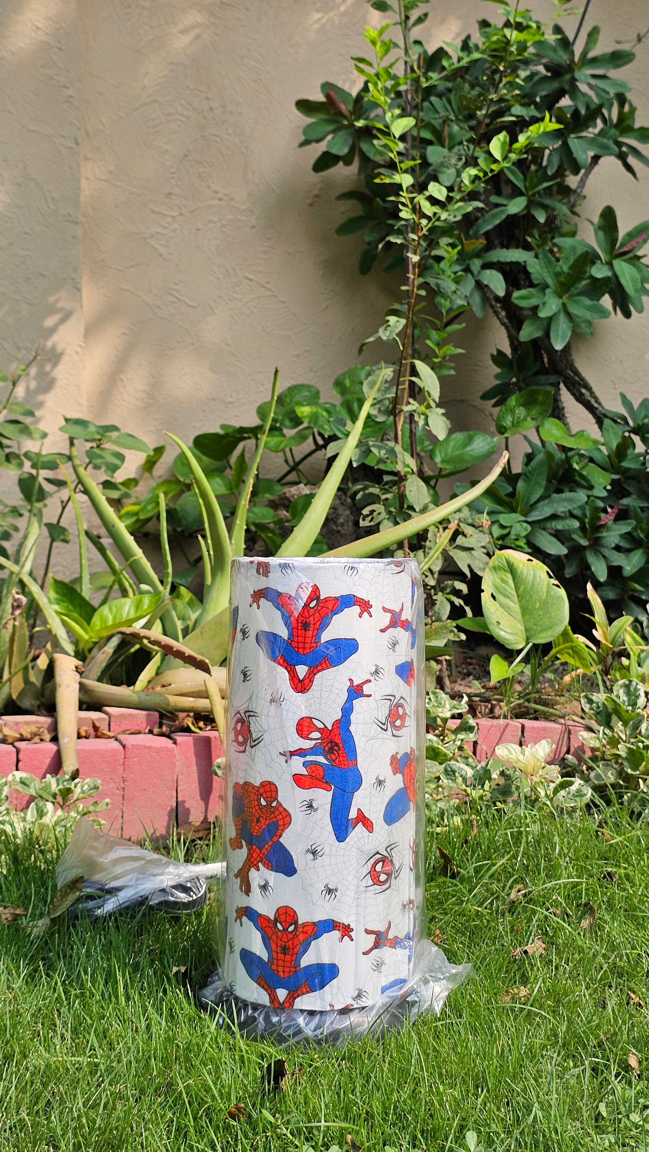 The Spiderman Lamp