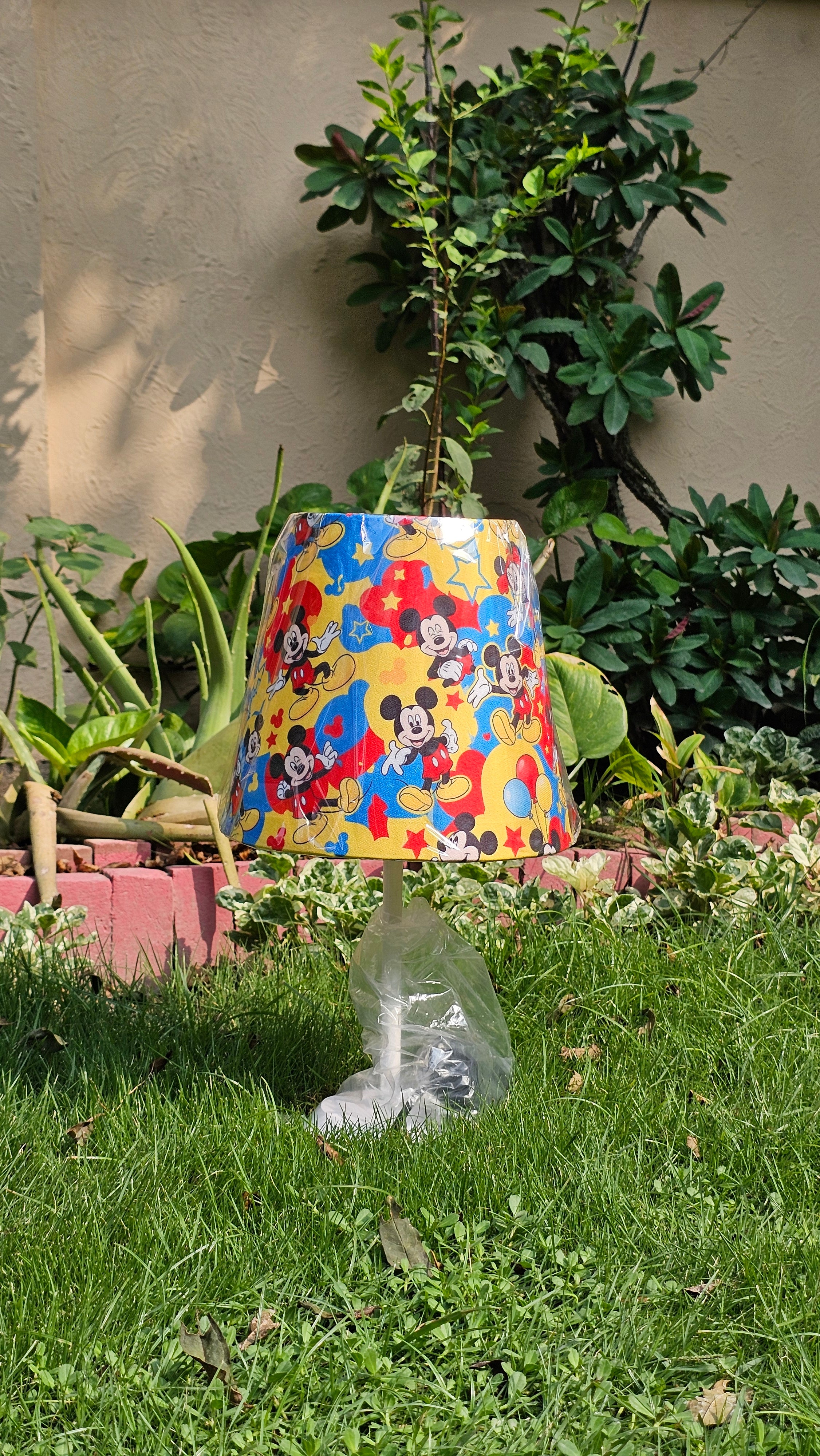 The Mickey Lamp